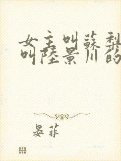 女主叫苏梨男主叫陆景川的小说