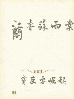 江睿苏雨棠笔趣阁