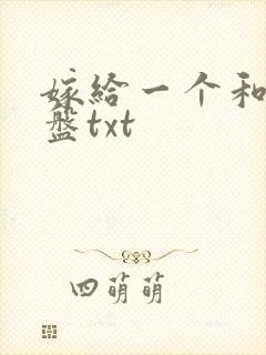 嫁给一个和尚网盘txt封面