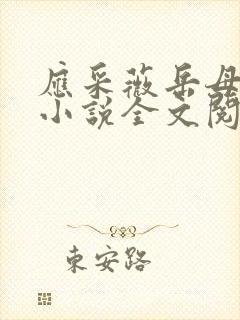 应采薇岳母宋诚小说全文阅读封面