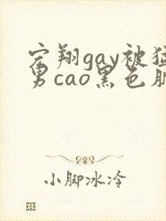 宏翔gay被猛男cao黑色肌肉