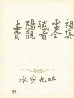 上阳赋电视剧免费观看全集完整版