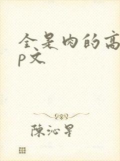 全是肉的高hnp文