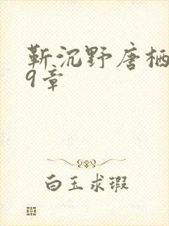 靳沉野唐栖雾第9章