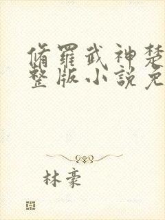 修罗武神楚枫完整版小说免费阅读