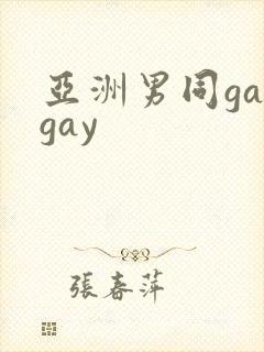 亚洲男同gaygay