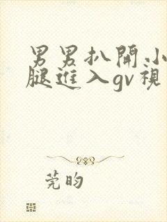 男男扒开小受双腿进入gv视频