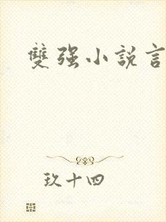 双强小说言情封面