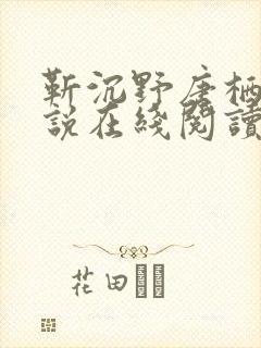 靳沉野唐栖雾小说在线阅读