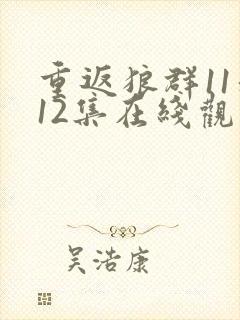 重返狼群11和12集在线观看十周年