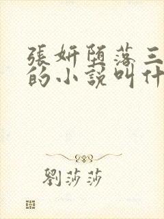 张妍堕落三部曲的小说叫什么