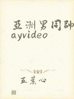 亚洲男同帅哥gayvideo