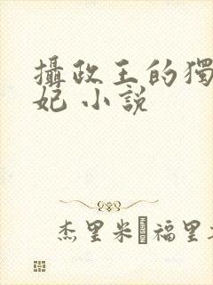 摄政王的独宠医妃 小说