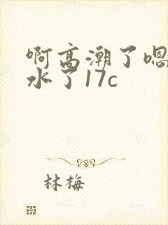 啊高潮了嗯～喷水了17c封面