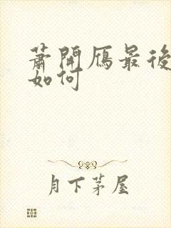 萧开雁最后结局如何封面