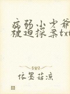 病弱小少爷又在被迫探案txt