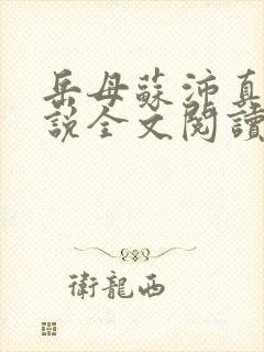 岳母苏沛真的小说全文阅读封面