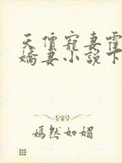 天价宠妻霍总小娇妻小说下载封面