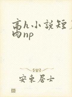 高h小说短篇纯肉np