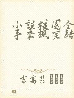 小说校园全能高手季枫完结版