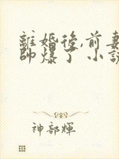 离婚后,前妻她帅爆了 小说