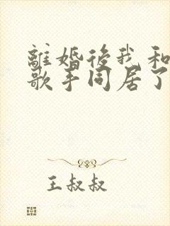 离婚后我和偶像歌手同居了