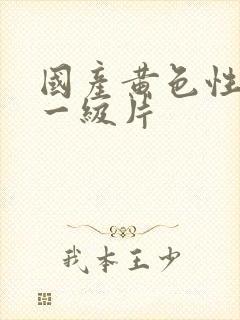 国产黄色性生活一级片