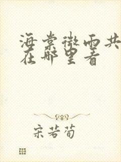 海棠微雨共归途在哪里看