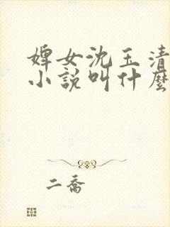 婢女沈玉清原著小说叫什么名字啊