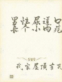 男性尿道口里面长个小肉疙瘩是怎么回事封面