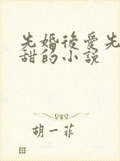 先婚后爱先虐后甜的小说