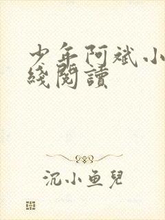 少年阿斌小说在线阅读封面