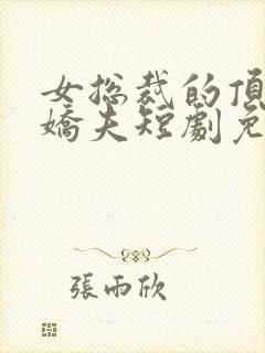 女总裁的顶流小娇夫短剧免费观看封面