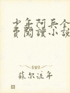 少年阿兵全文免费阅读小说