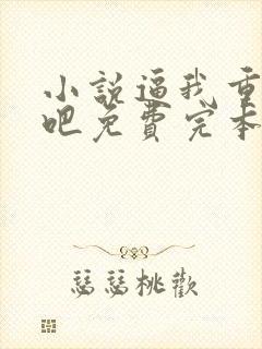 小说逼我重生是吧免费完本幼儿园一把手封面