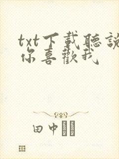txt下载听说你喜欢我封面