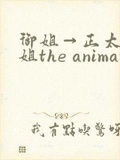 御姐→正太←御姐the animation