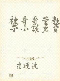 被哥哥管教的日子小说免费阅读男女封面