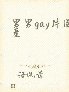 男男gay片国产封面
