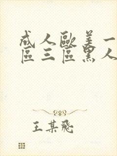 成人欧美一区二区三区黑人一