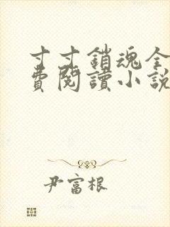 寸寸销魂全文免费阅读小说