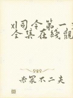 xl司令第一季全集在线观看免费播放封面