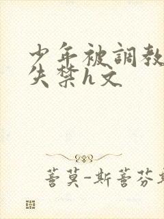 少年被调教爽到失禁h文