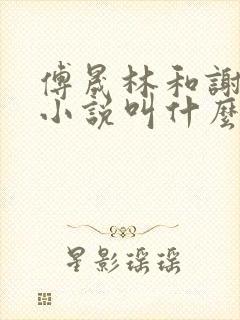 傅晟林和谢若兰小说叫什么名字