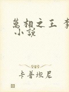 万相之王 李洛 小说