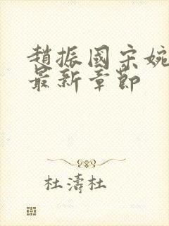 赵振国宋婉清 最新章节封面