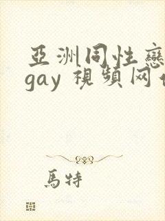 亚洲同性恋男 gay 视频网站