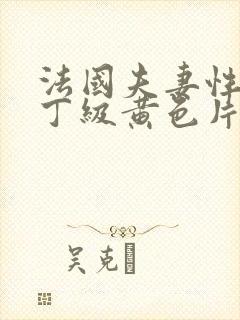 法国夫妻性生活丁级黄色片