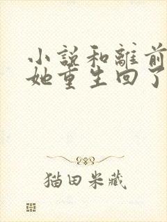 小说和离前夜,她重生回了出嫁前更新