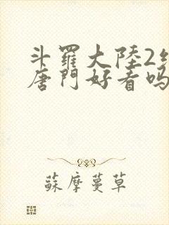 斗罗大陆2绝世唐门好看吗